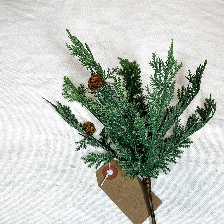 Cypress Pick 10”
