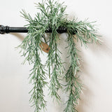Sage Rosemary Trailing Vine 32"