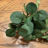 Mini Eucalyptus Bundle 13"