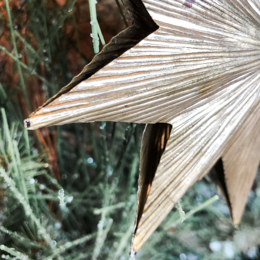 Two Sided Embossed Brass Metal Star Orn