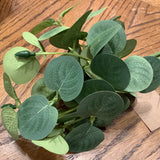 Mini Eucalyptus Bundle 13"
