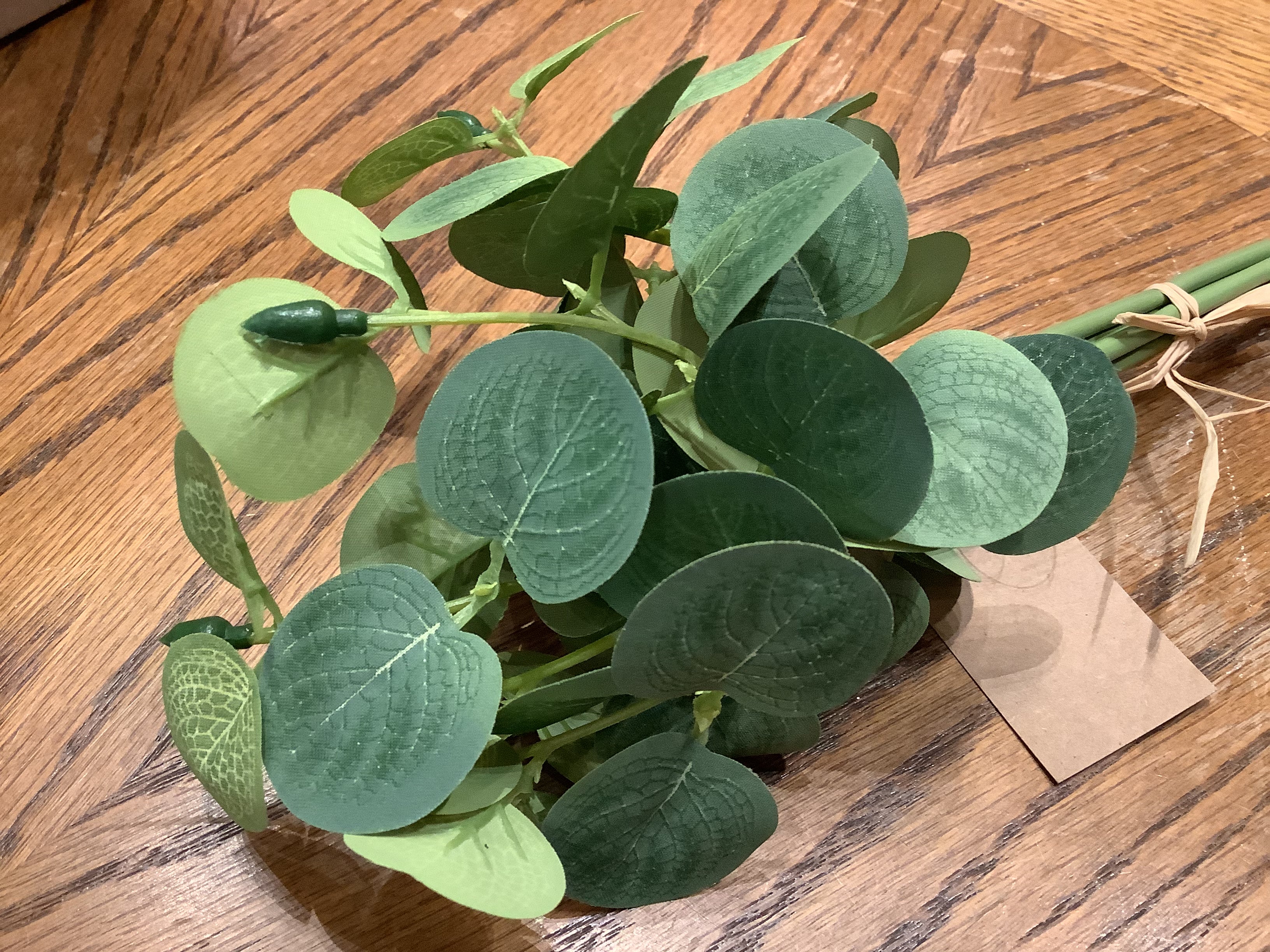 Mini Eucalyptus Bundle 13"