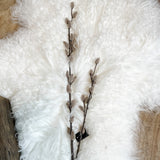 Tan Pussy Willow Stem 33"