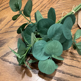 Mini Eucalyptus Bundle 13"