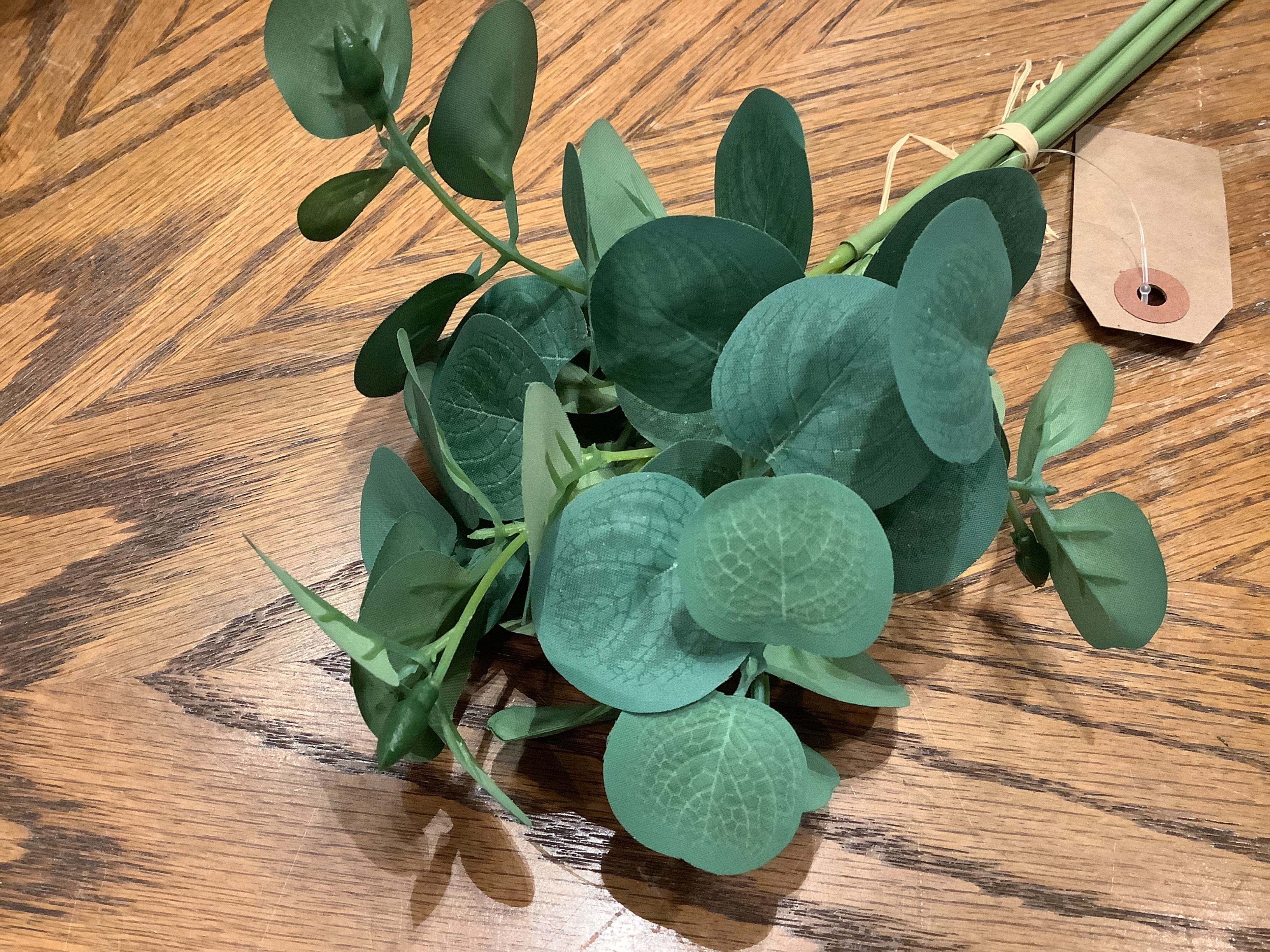 Mini Eucalyptus Bundle 13"