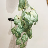 Natural Pothos Spray 19.25"
