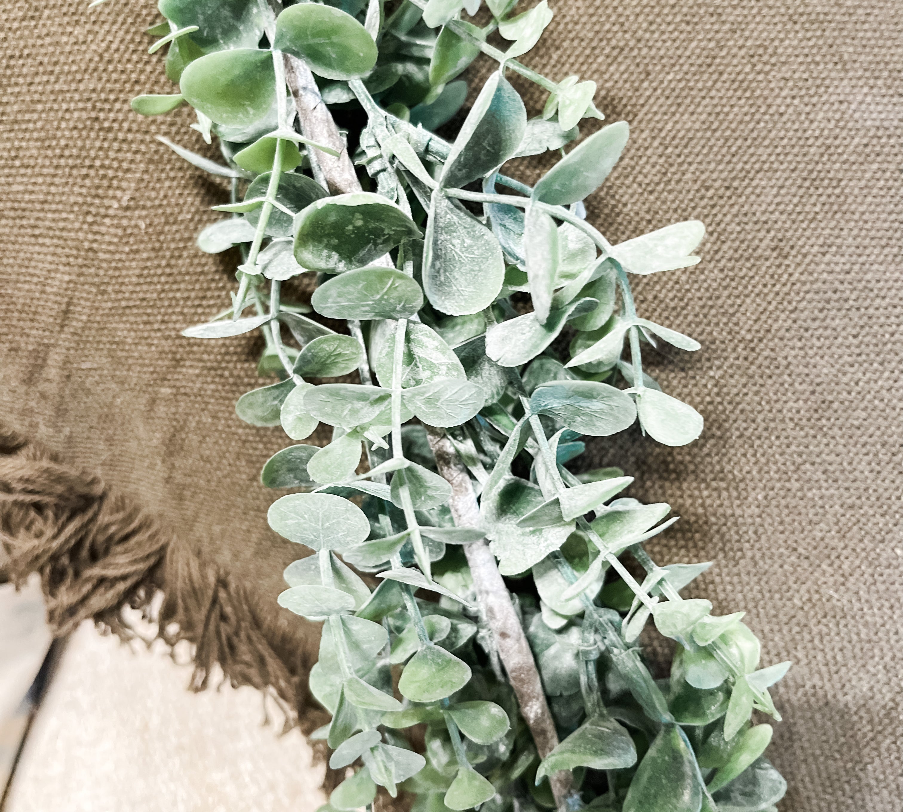 Eucalyptus Garland 6'