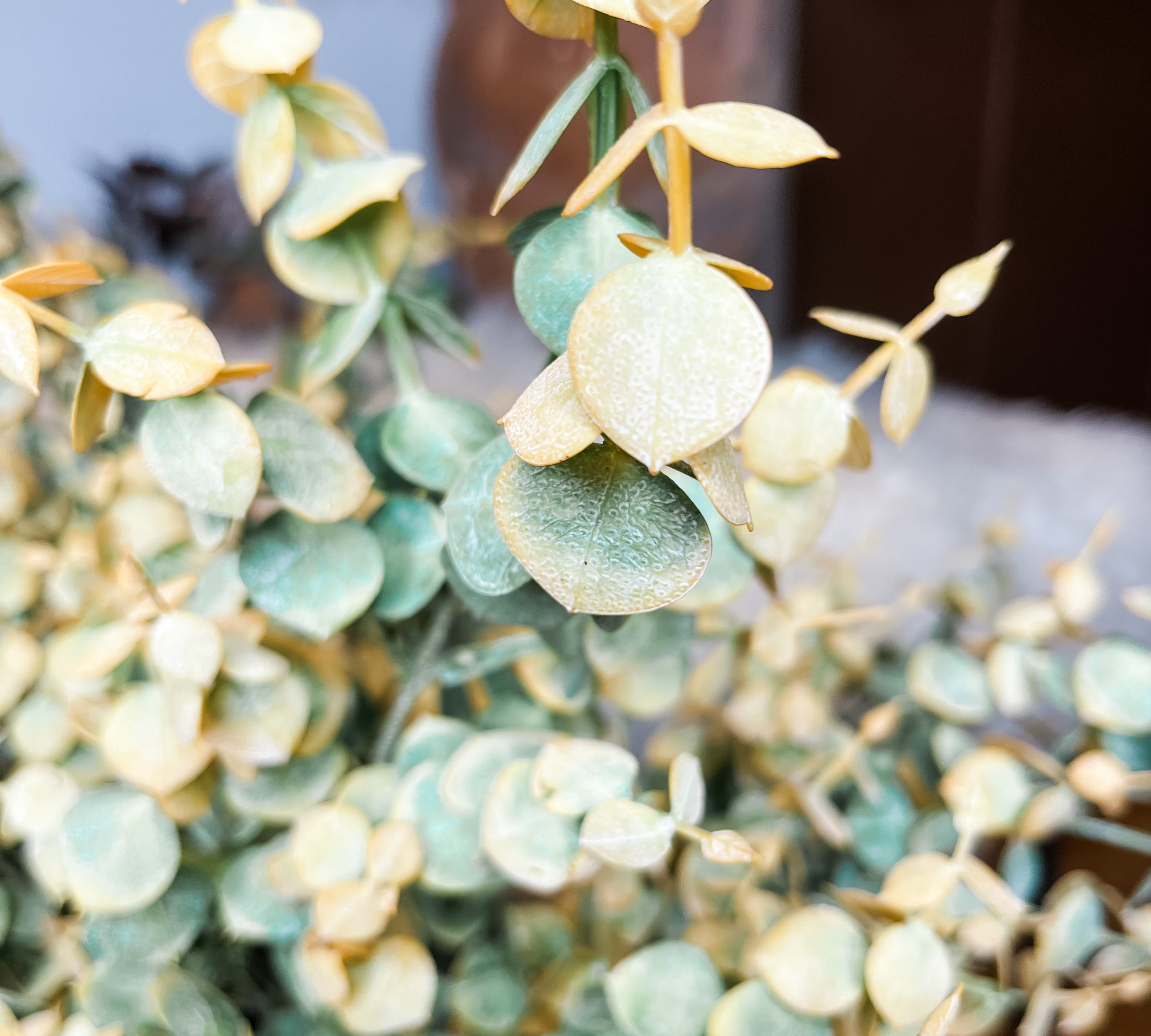 Rich Hued Eucalyptus Spray 33”