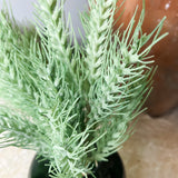 Green Wheat Stock Bundle 15.5”