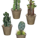 Brown Pot Rock Cactus