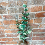 Money Plant Leaf Spray 33.9"