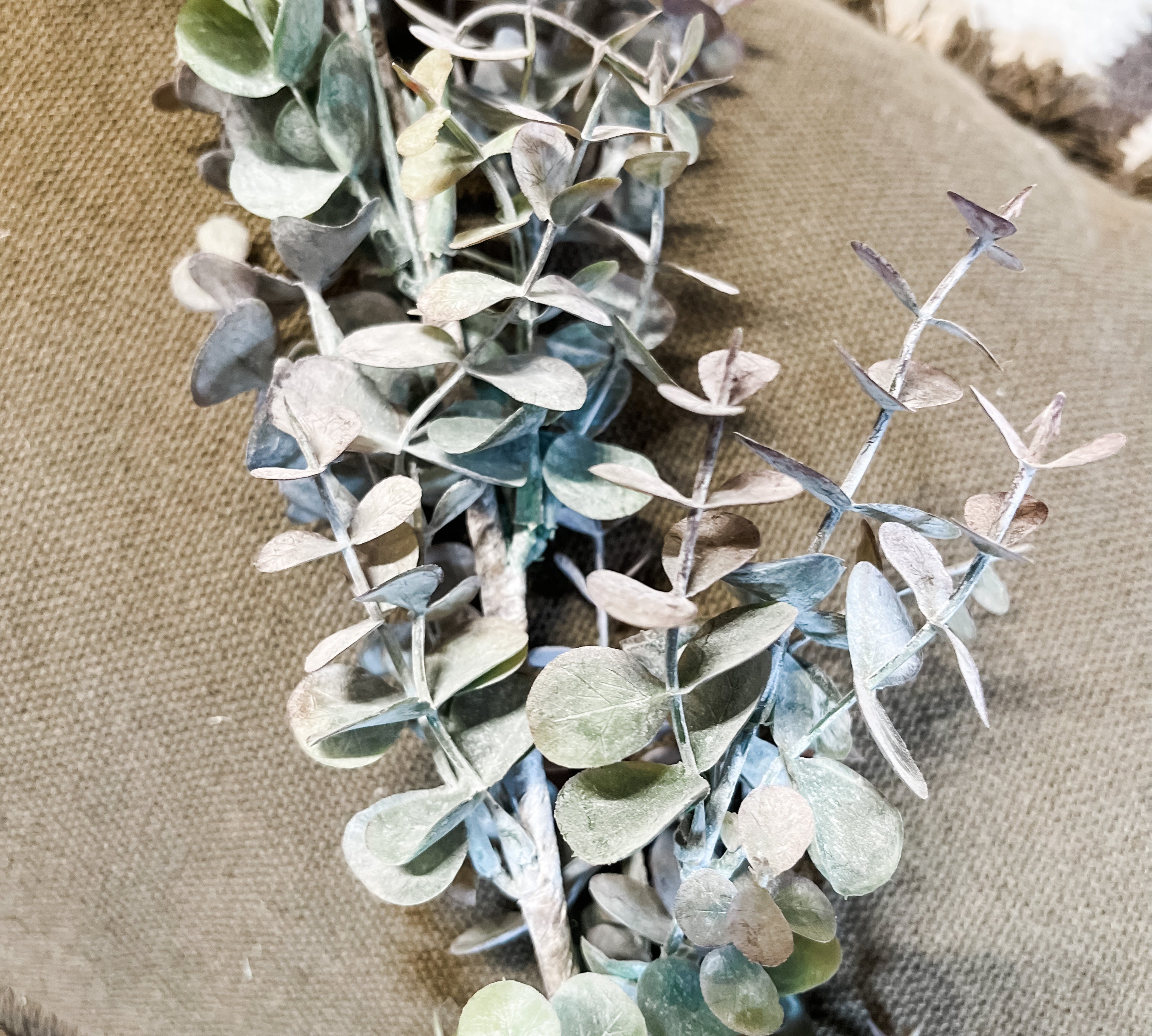 Eucalyptus Garland 6'