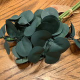Mini Eucalyptus Bundle 13"