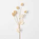 Dried Thistle Spray 27.5"