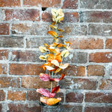 Fall Eucalyptus Leaf Stem 28.5”