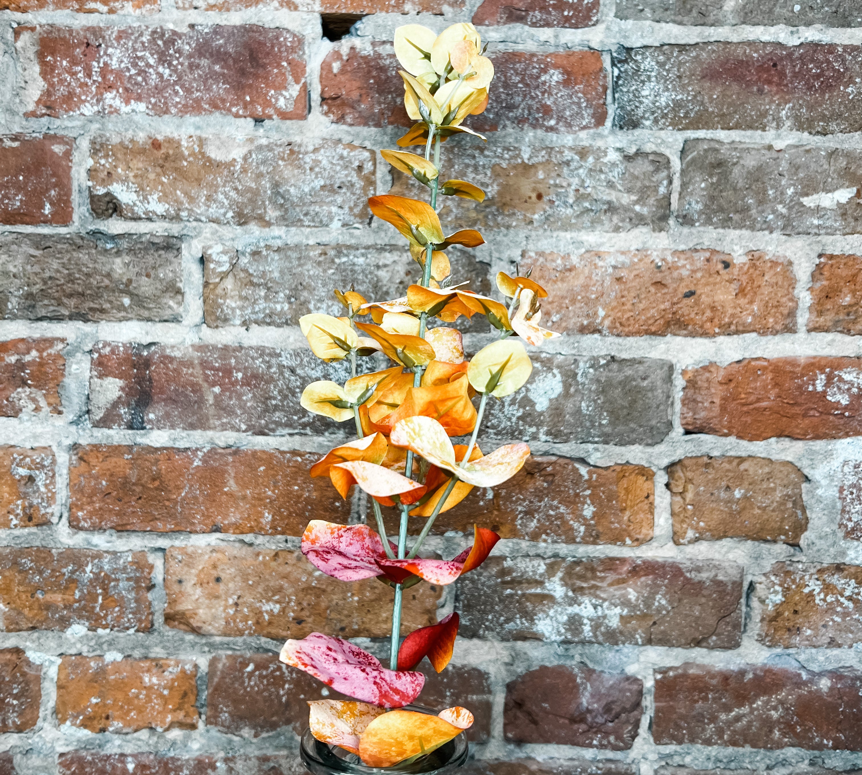 Fall Eucalyptus Leaf Stem 28.5”