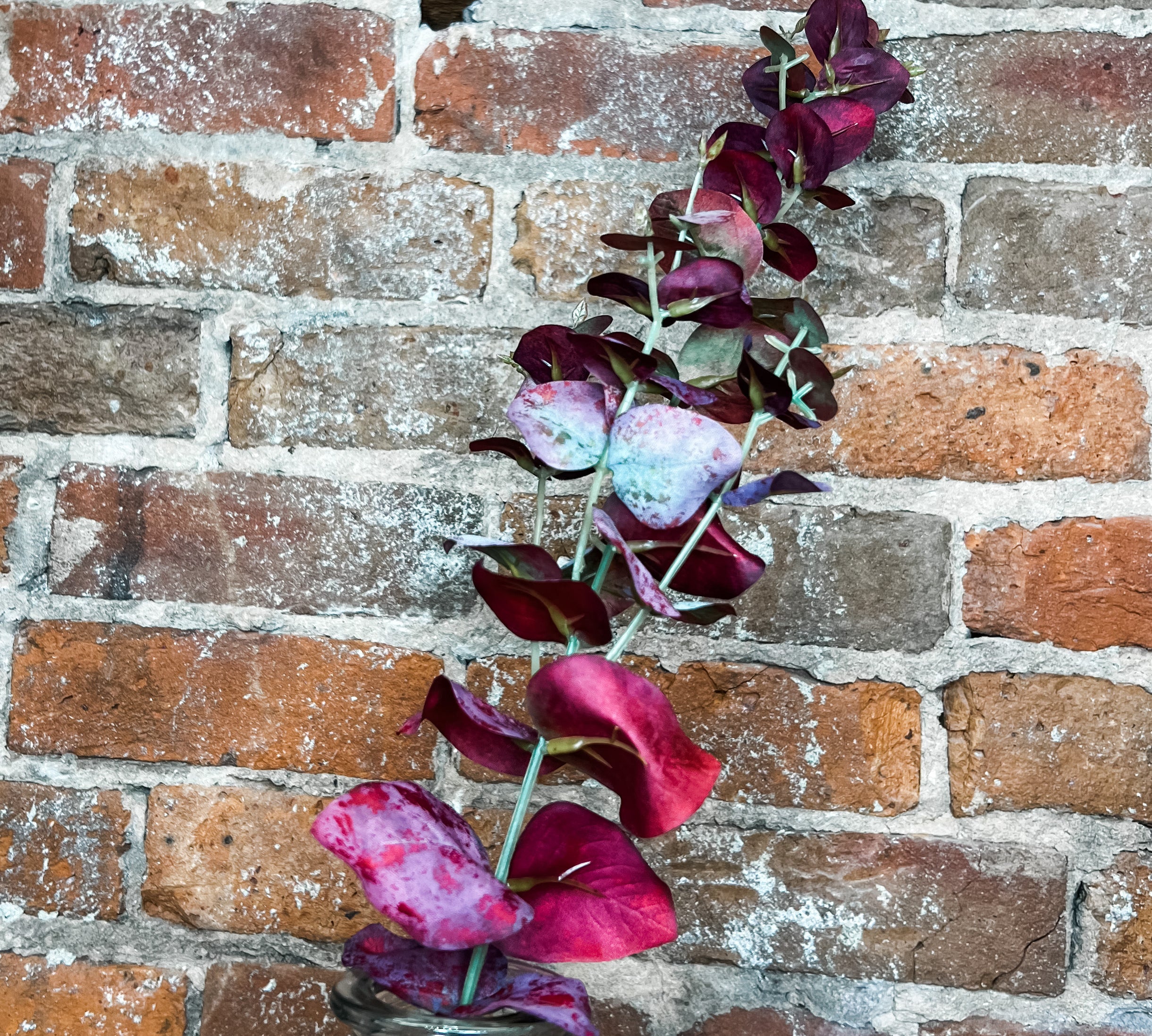 Fall Eucalyptus Leaf Stem 28.5”