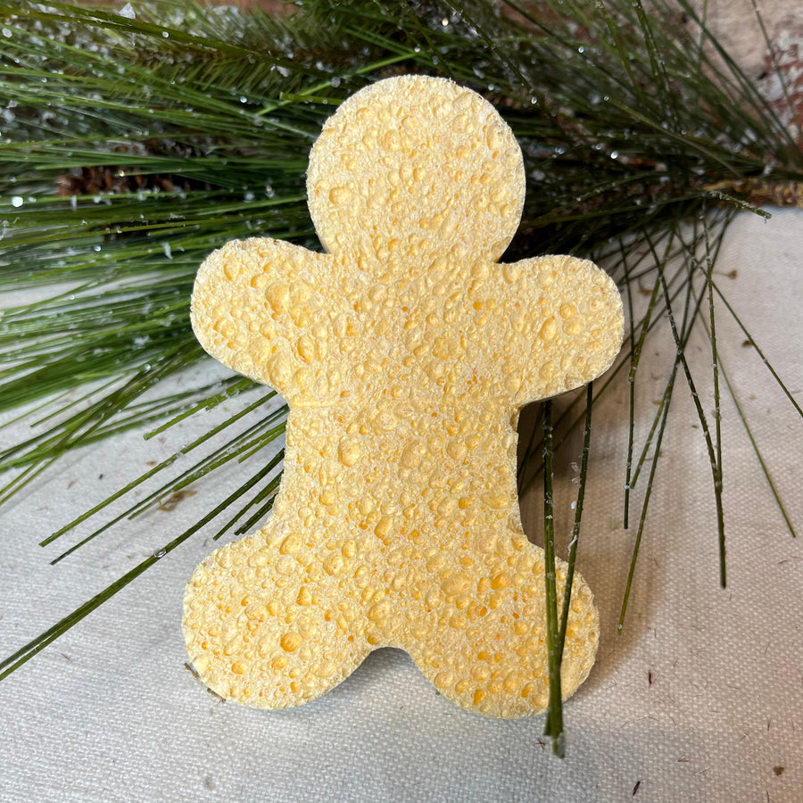Two-Sided Holiday Sponge