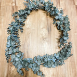 Eucalyptus Cinerea Garland 6'