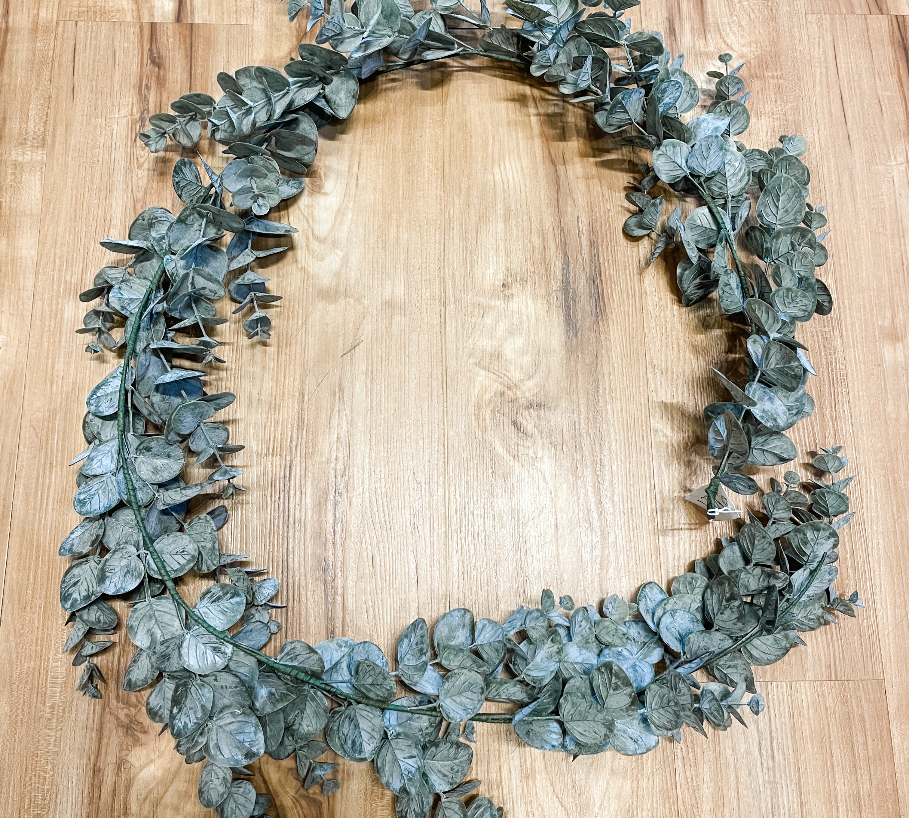 Eucalyptus Cinerea Garland 6'