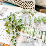 Sage Eucalyptus Spray 26"
