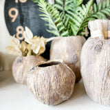 Woodlook Resin Planters