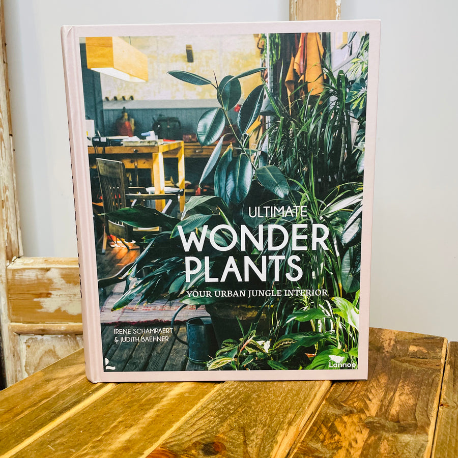 Ultimate Wonder Plants: Your Urban Jungle