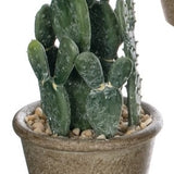 Brown Pot Rock Cactus
