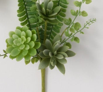 Succulent Fern Pick 14in