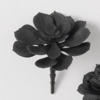Black Succulent Pick 4.75in - MarketPlaceManning