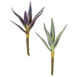 Fuzzy Aloe Succulent 9in