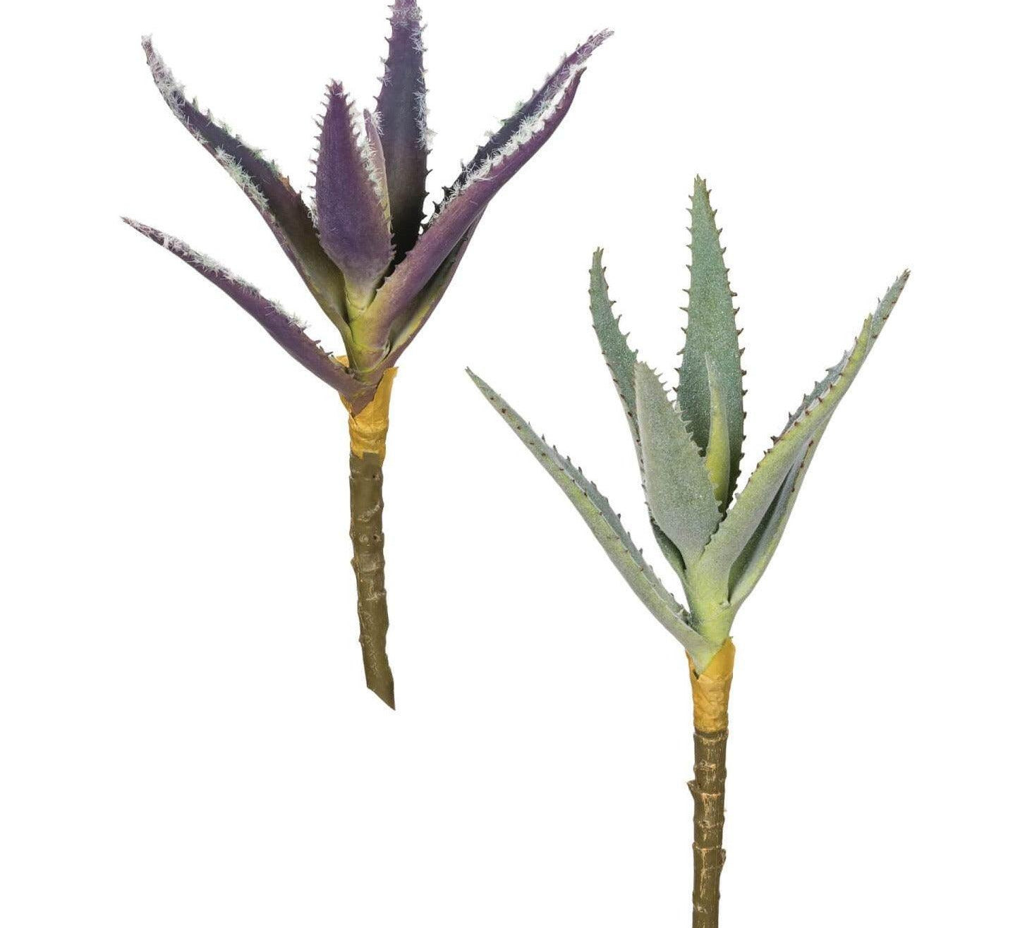 Aloe Pick 9in - MarketPlaceManning