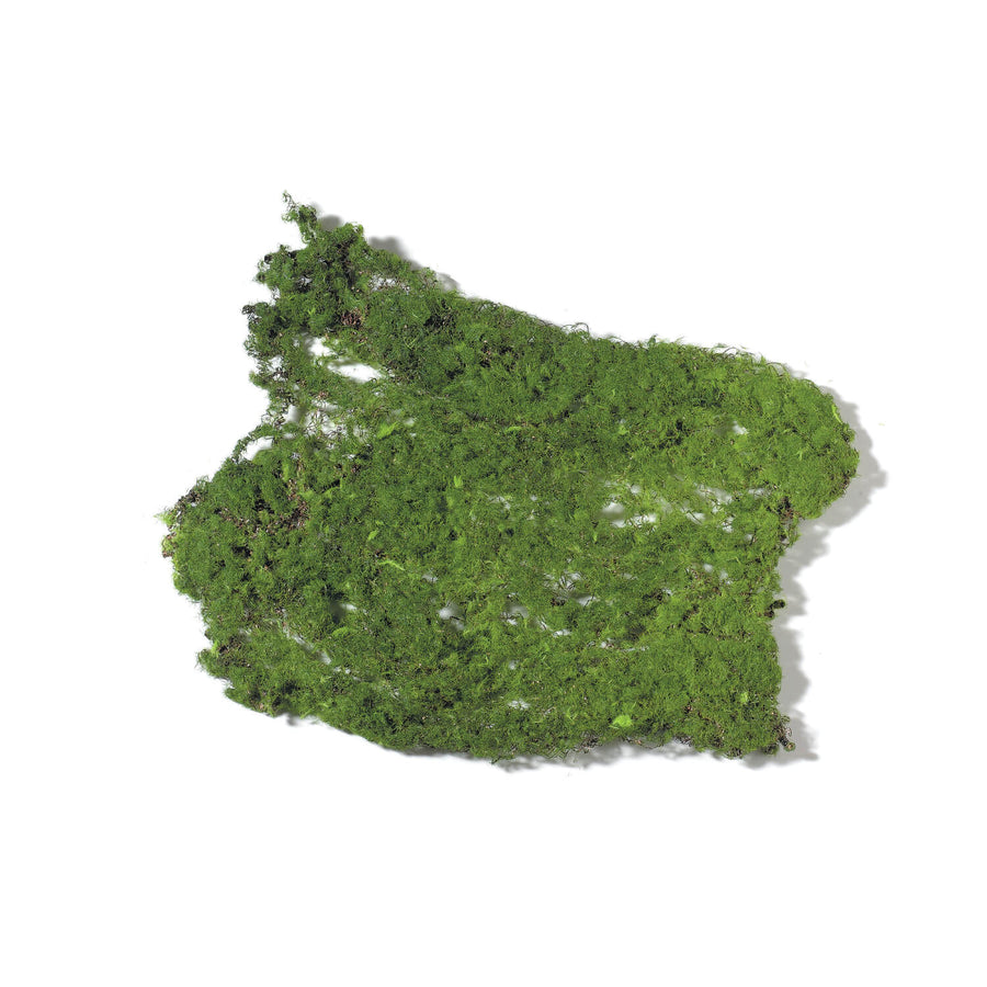 Moss Pad 12x9"