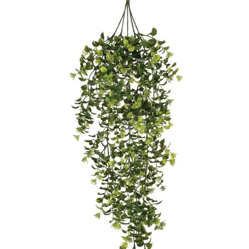 Boxwood/Berry Hanging Bush 32in - MarketPlaceManning