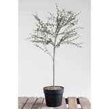 Faux Thyme Topiary in Pot 29”