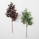 Eucalyptus Leaf Stem 26 in.