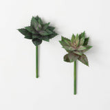 Gradient Succulent Pick 9"