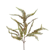 Green Brown Fern Spray 28"