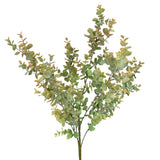 Orange Green Eucalyptus Bush 24"