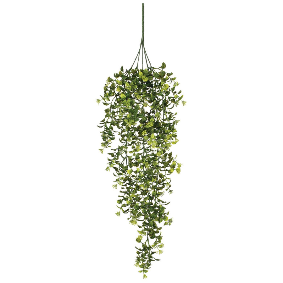 Boxwood/Berry Hanging Bush 32in - MarketPlaceManning