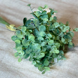 Eucalyptus Bundle 15”