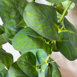 Grand Green Eucalyptus Spray 40"