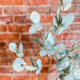 Soft Green Flat Leaf Eucalyptus Stem 35"