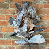 Dry Hydrangea Leaf Spray 43”
