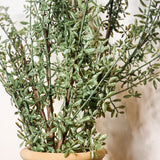 Real Touch Myrtle Leaf Branch 47"