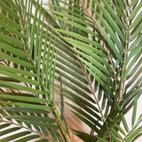 Palm Spray 32"