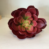 Burgundy Succulent Stem, 8 inch