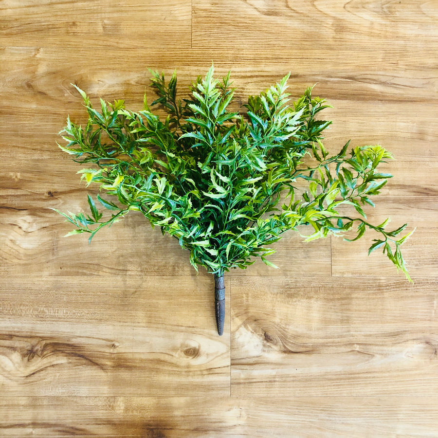 Mixed Fern Bush, 16 inch