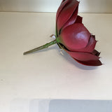 Burgundy Succulent Stem, 8 inch