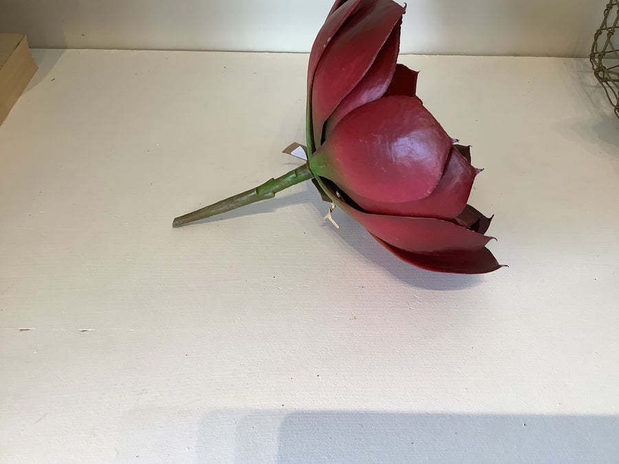 Burgundy Succulent Stem, 8 inch